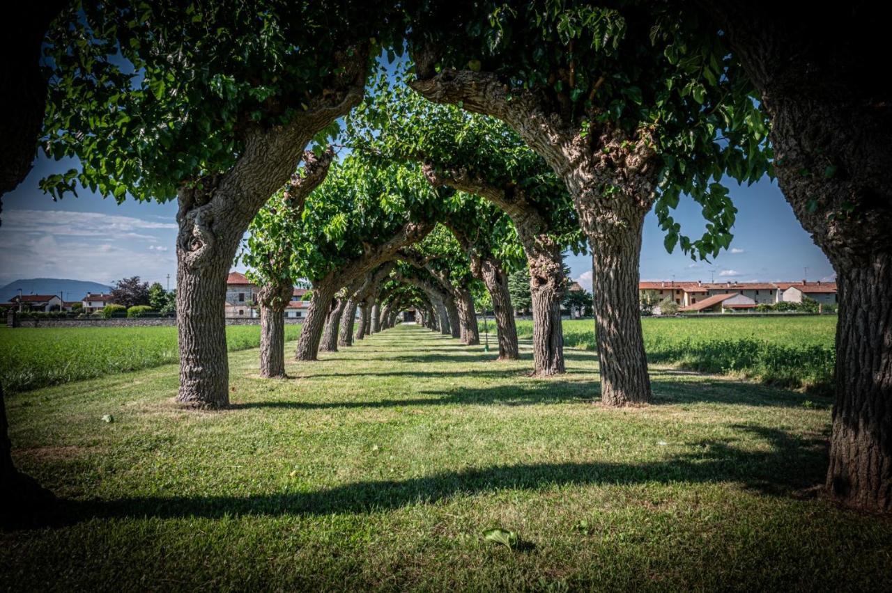 Villa Minini Bed & Breakfast Rive d'Arcano Dış mekan fotoğraf